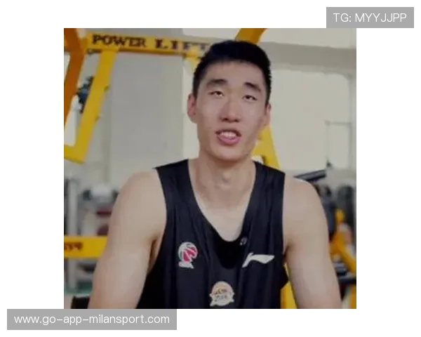 CBA新秀表现分析